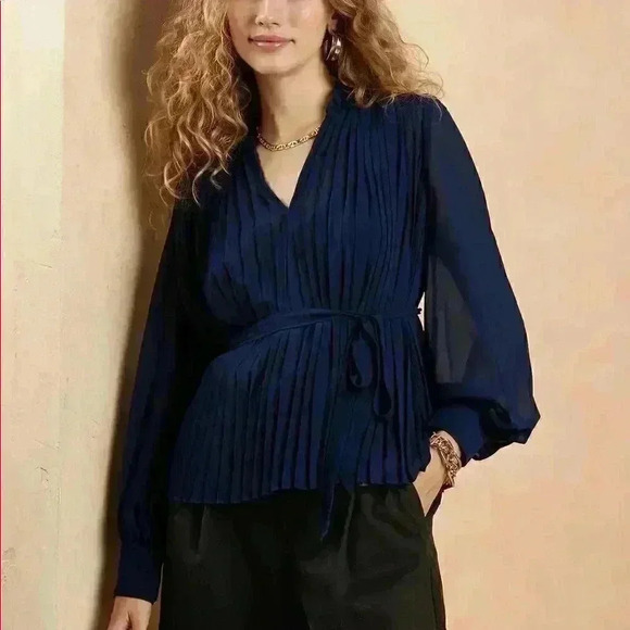 Banana Republic Chiffon Pleated Blouse - Picture 1 of 10